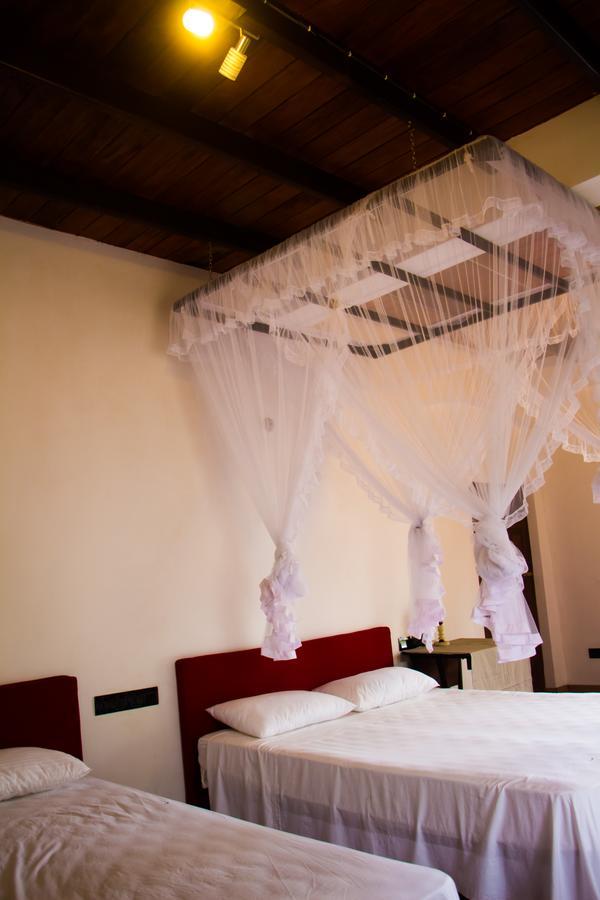 Budget Double Room,613934315:JPEG