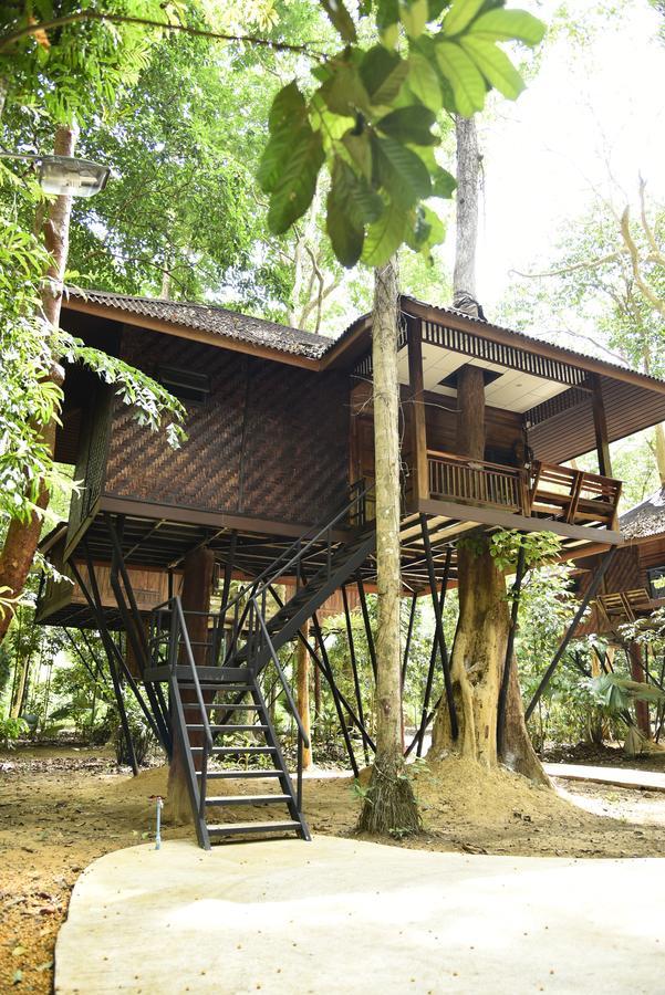 Tree House (4 Adults)