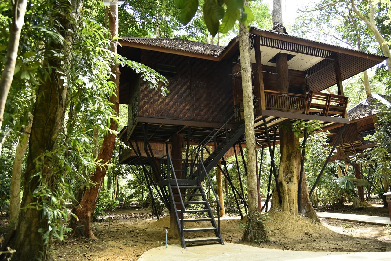 Tree House