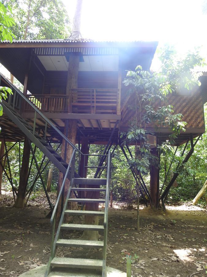 Tree House