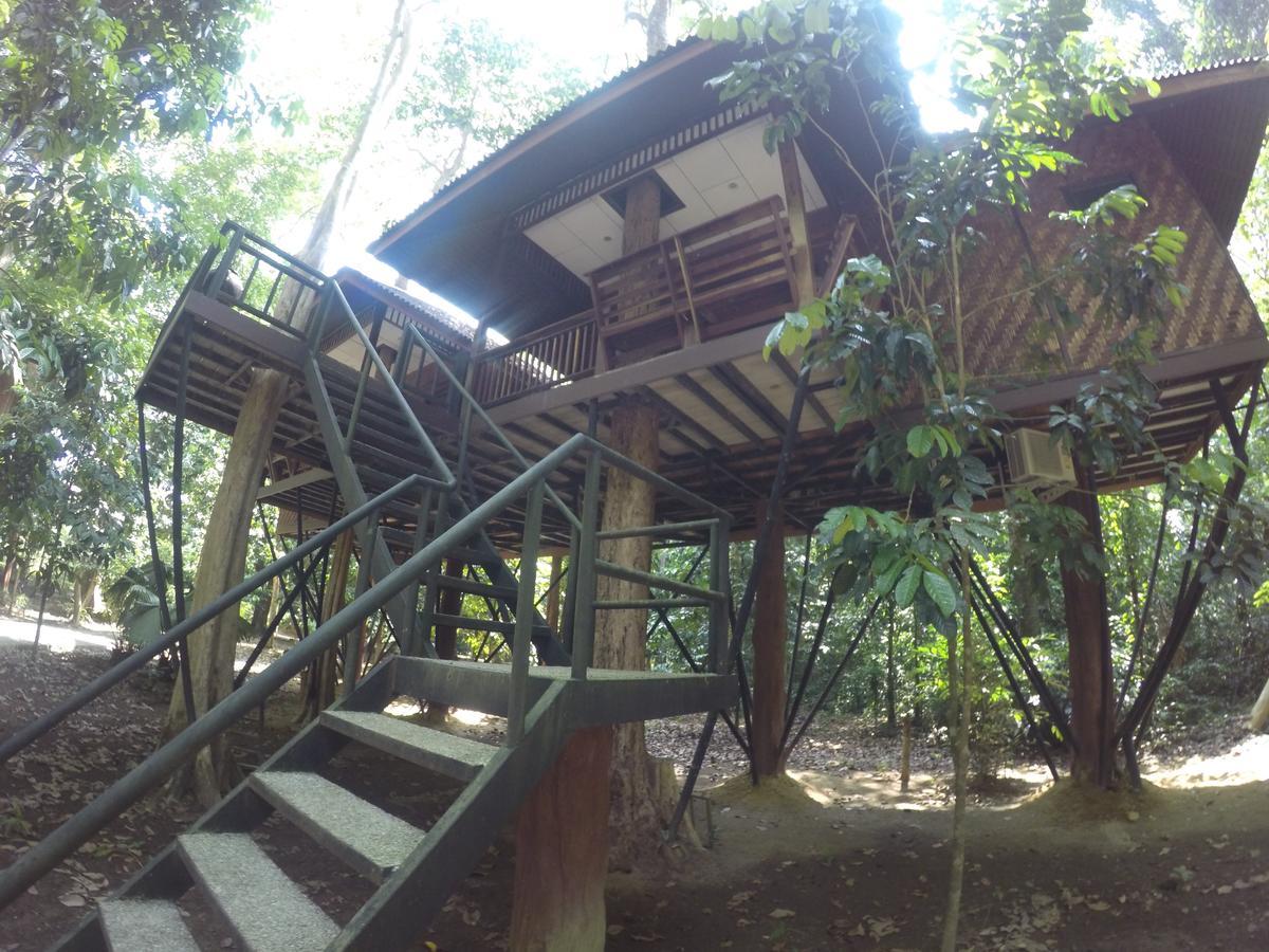 Tree House