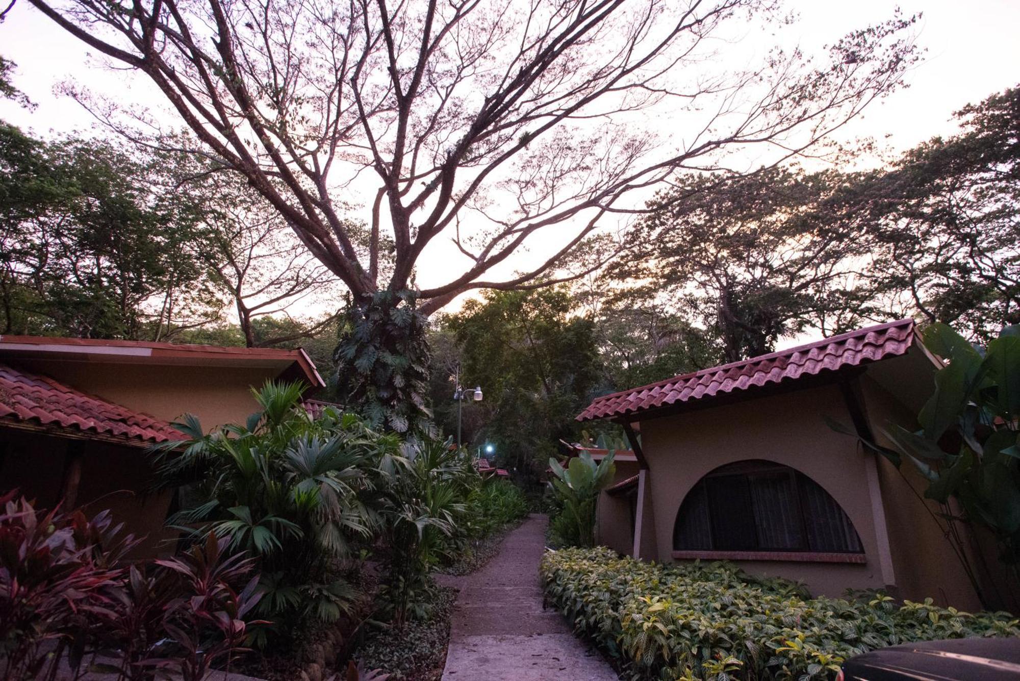 Standard Twin Room 800 mts from the beach