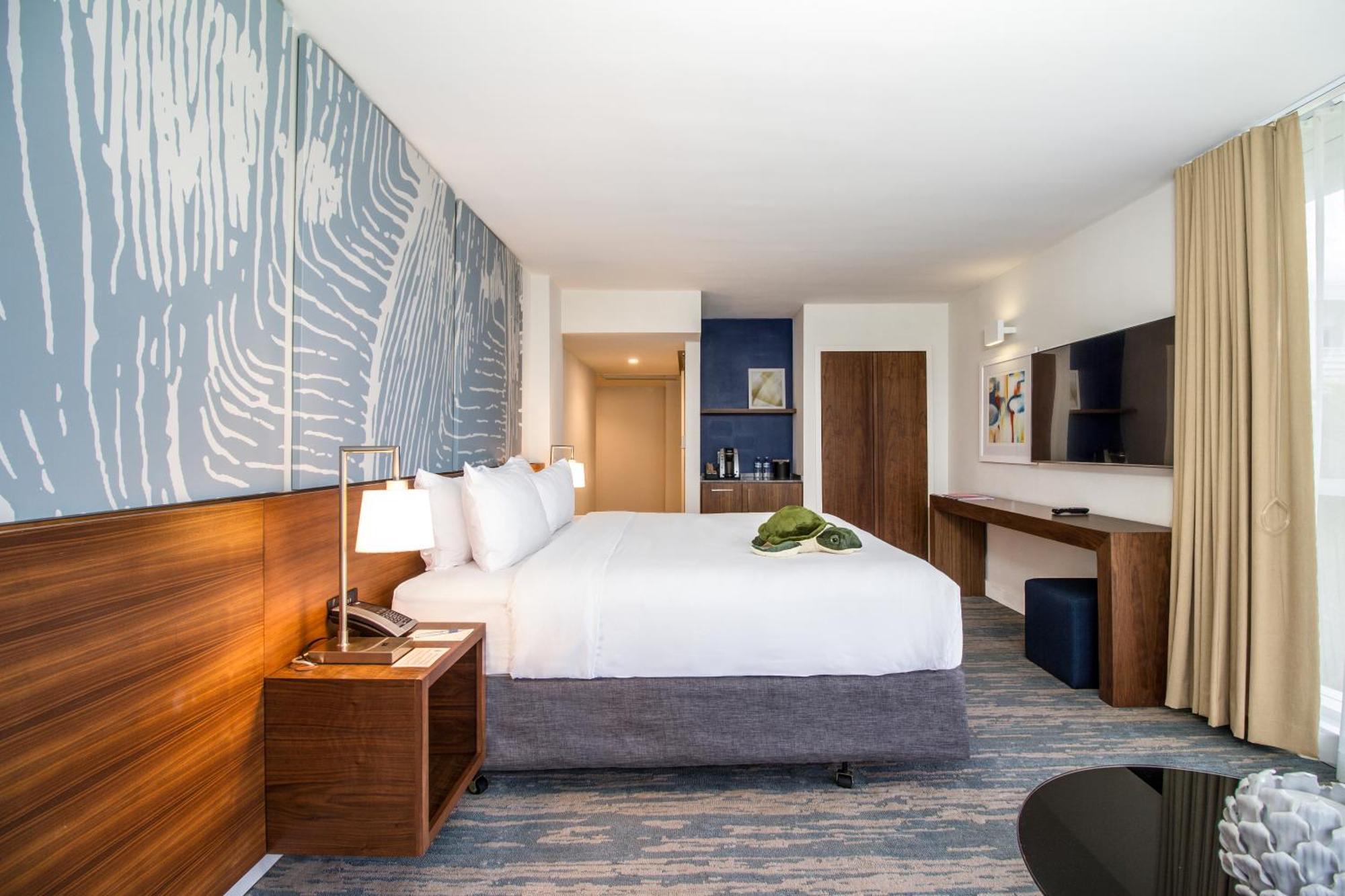 Ocean View Junior Suite with King bed and Queen Sofa Bed,706884910:JPEG