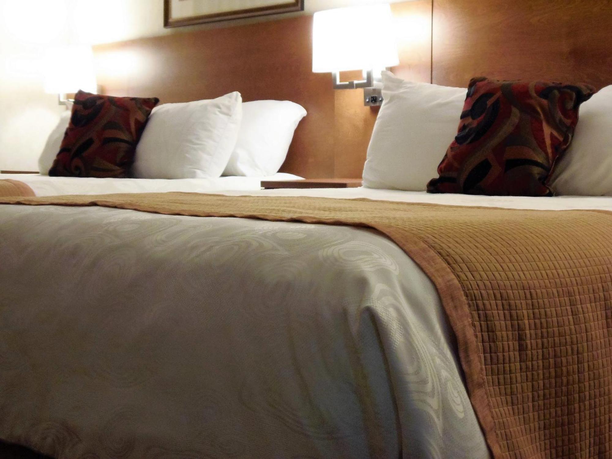 Standard Queen Room with Two QUeen Beds - New Building,709105288:JPEG