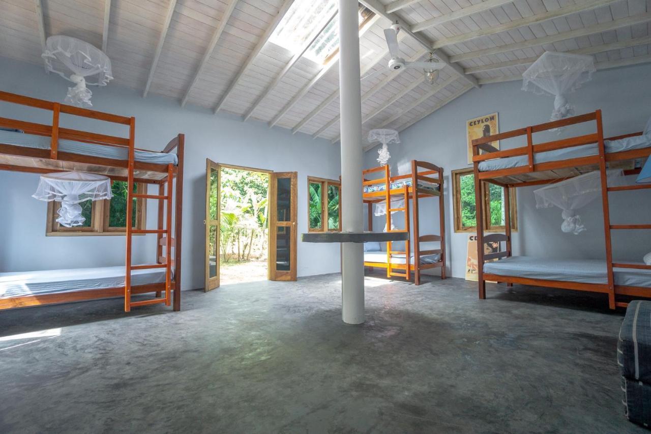 Bed 6-Bed Female Dormitory Room