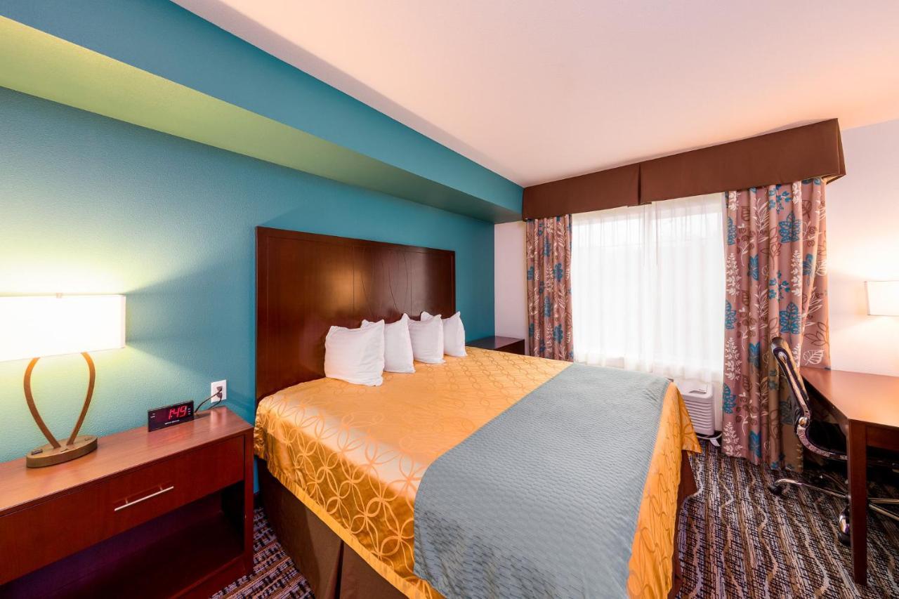 King Room - Not Pet Friendly,757464424:JPEG