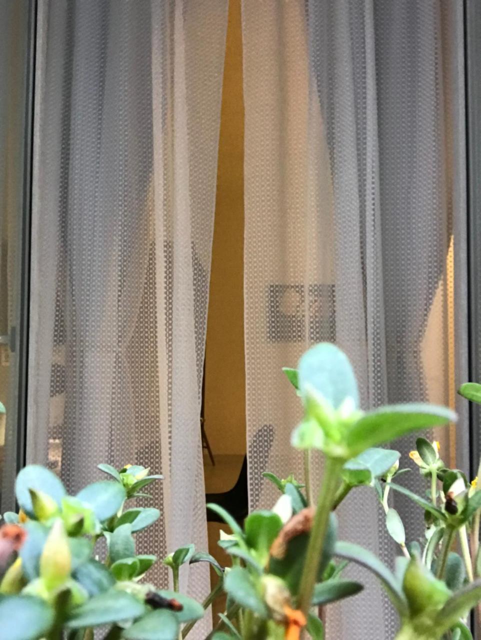 King Room Balcony