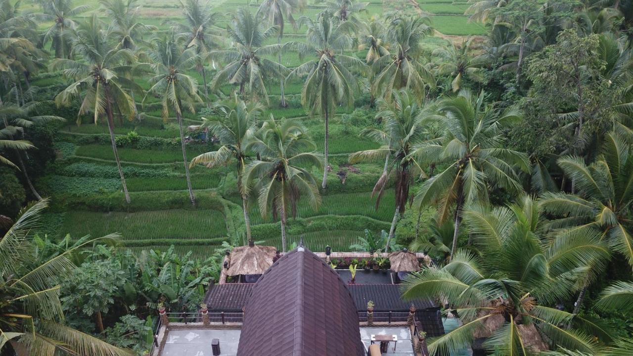 Honeymoon Wooden Suite Rice Field View