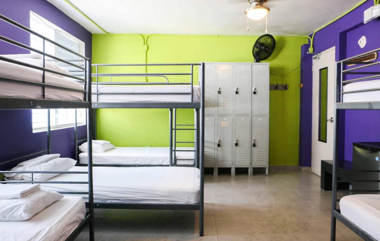 Bed in 8-Bed Mixed Dormitory Room