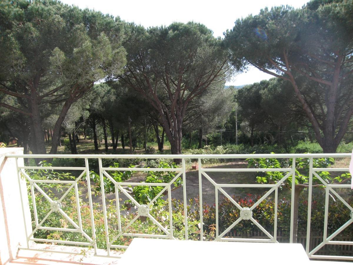 Double Room Garden View,1550449870:JPEG