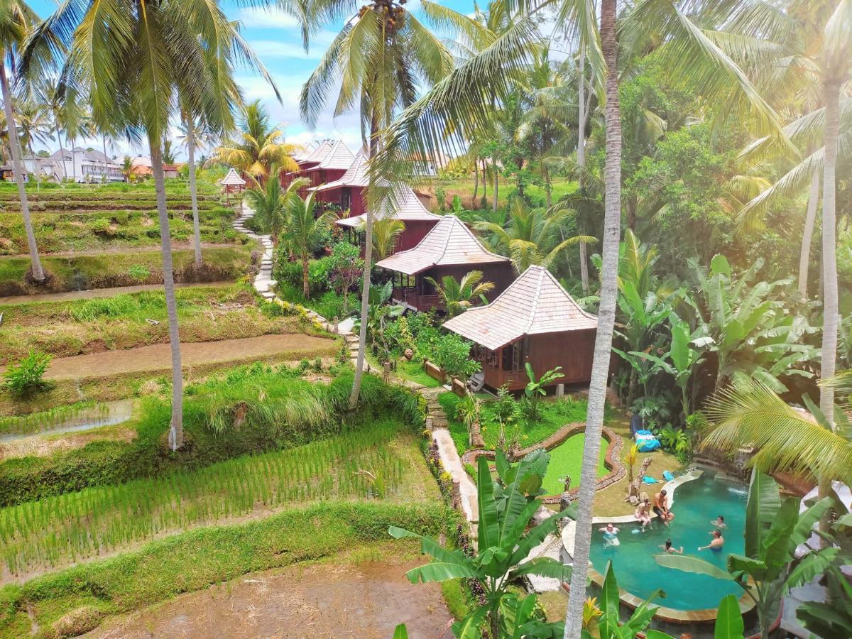 Wooden One-Bedroom Cottage Rice Field View