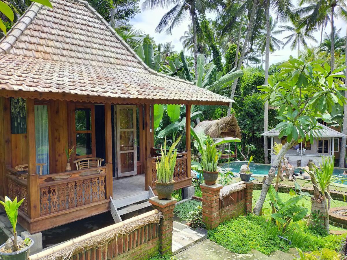 Wooden One-Bedroom Cottage Rice Field View