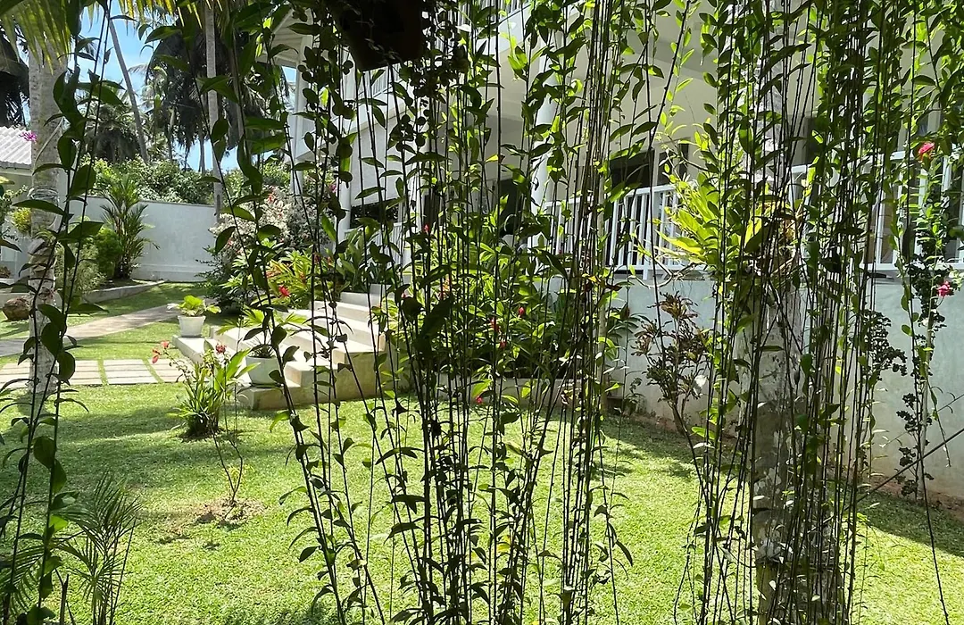 Plantation House-1