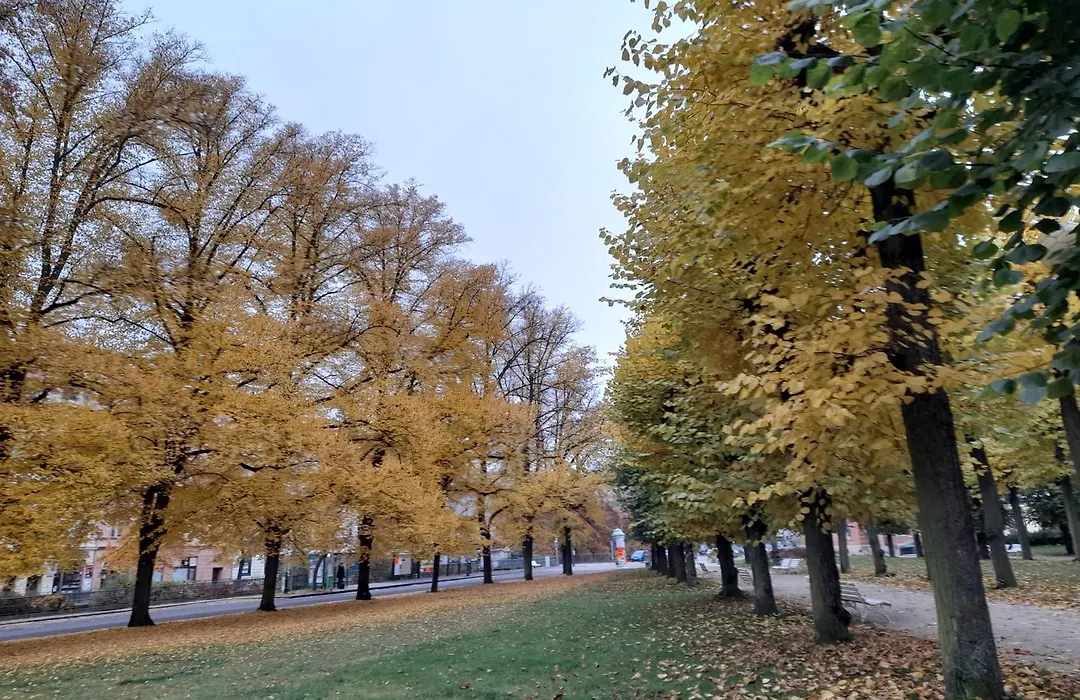 Romania-1
