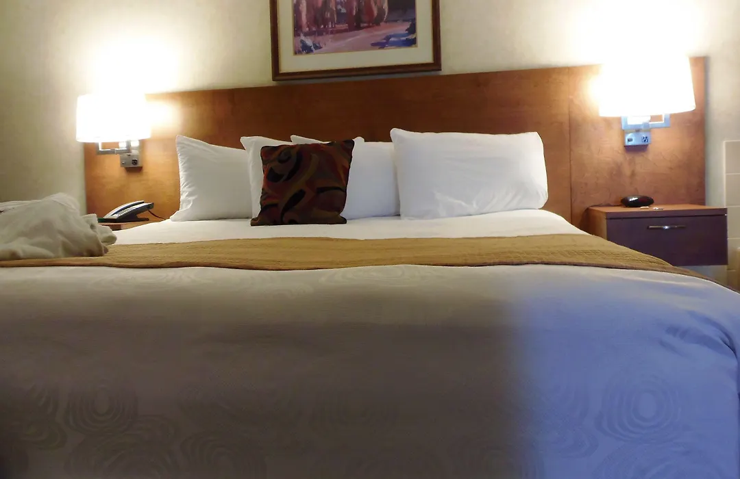 Rosslyn Inn & Suites, Surestay Collection By Best Western-1