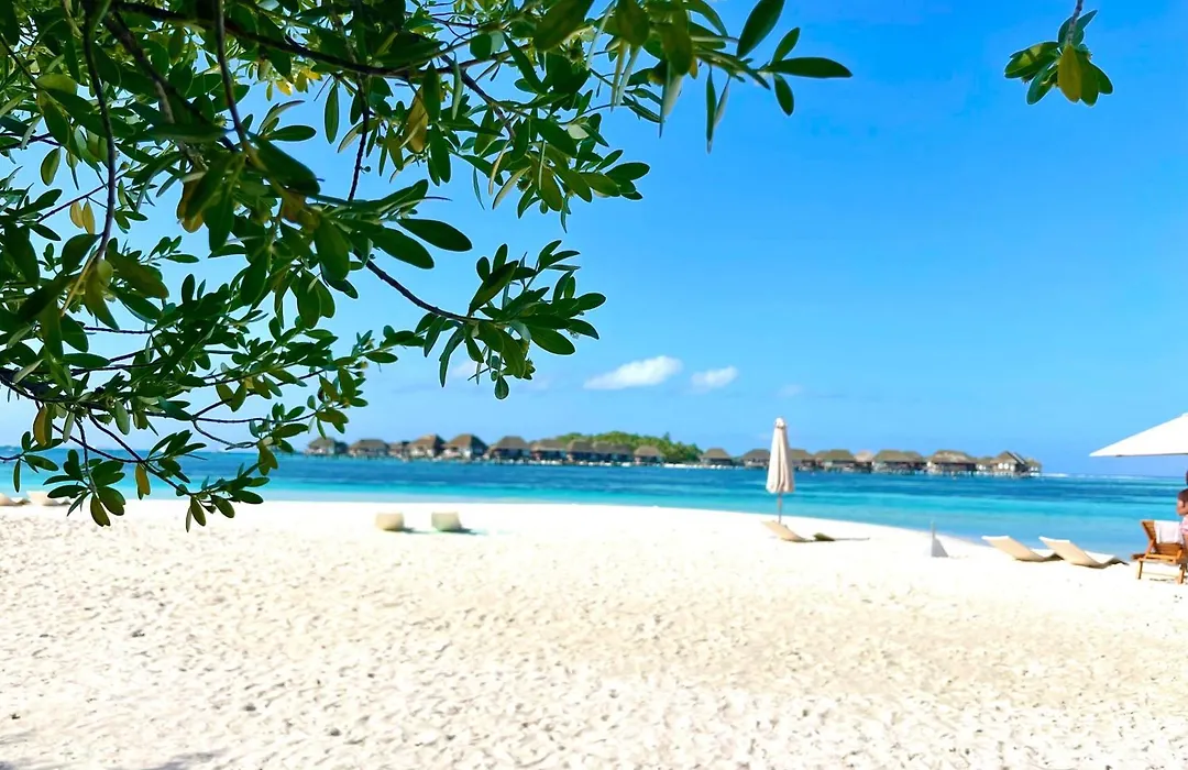 Pearl Sands Of Maldives-1