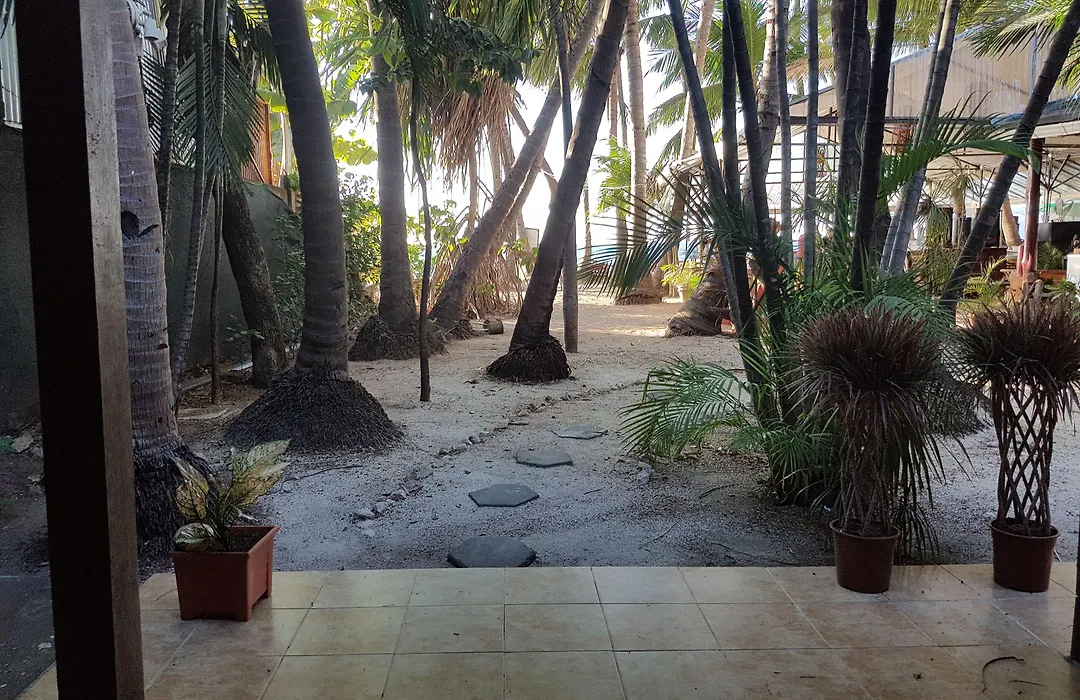 Hotel La Palapa-1