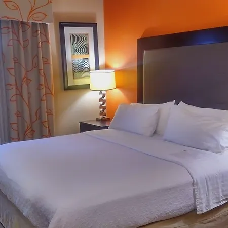 Holiday Inn Express & Suites Opelousas By Ihg-2