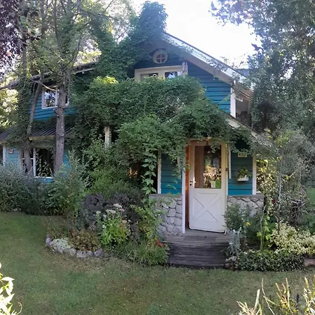 Dodo House Bed & Breakfast-2