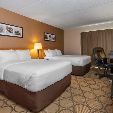 Comfort Inn Thetford Mines-2