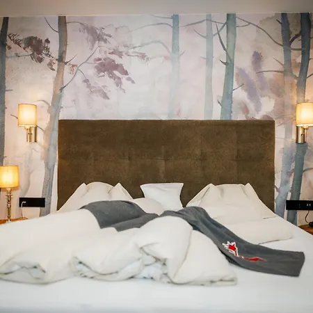 Hotel Landhaus Carla-3