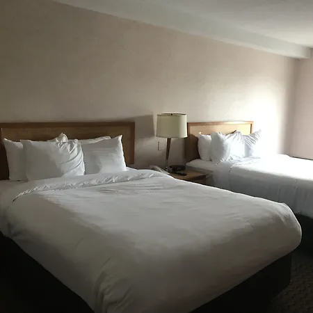 Rodeway Inn Saint John Fairville-2