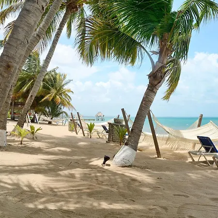 Parrot Cove Lodge-2