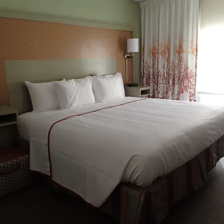 Gallus Stadium Park Inn, An Ascend Collection Hotel-3