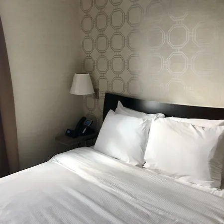 Hotel Mimosa-3
