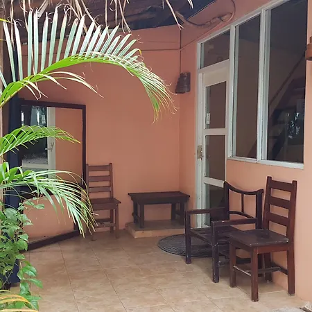 Hotel La Palapa-3
