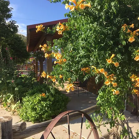 The Loubird Inn-2
