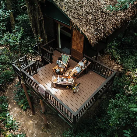 Our Jungle House-3