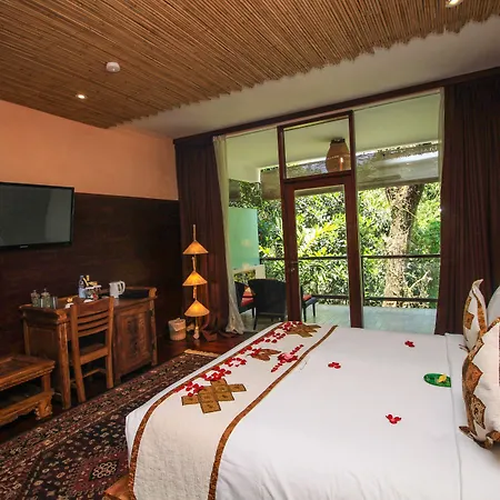 Jungle Retreat By Kupu Kupu Barong-2