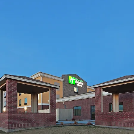 Holiday Inn Express & Suites Brownfield-2