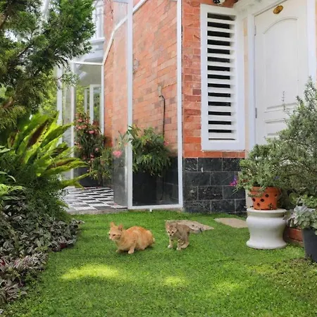 La Roza Dalat Boutique Hotel-3