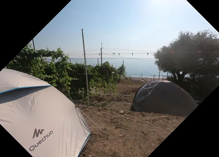 Camping Jungle In Borsh