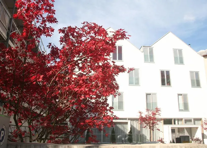 Hotel Engl
