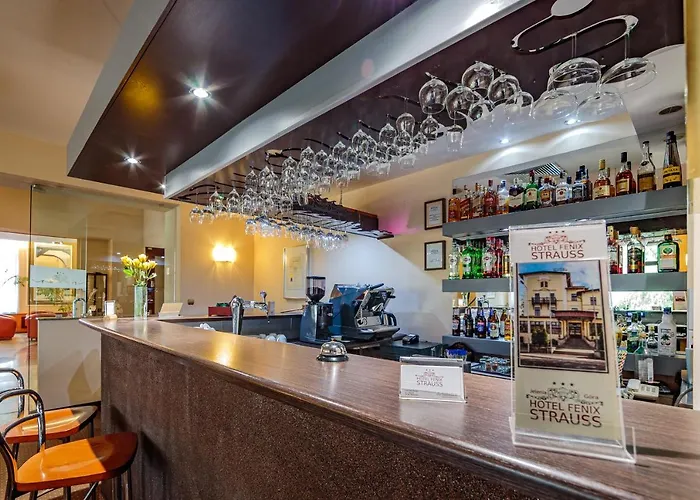 Hotel Fenix