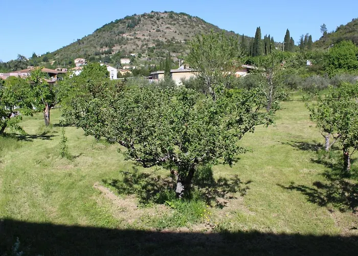 Hotel Des Oliviers