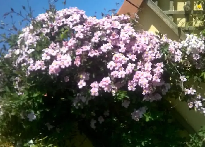 Wissant l'Opale