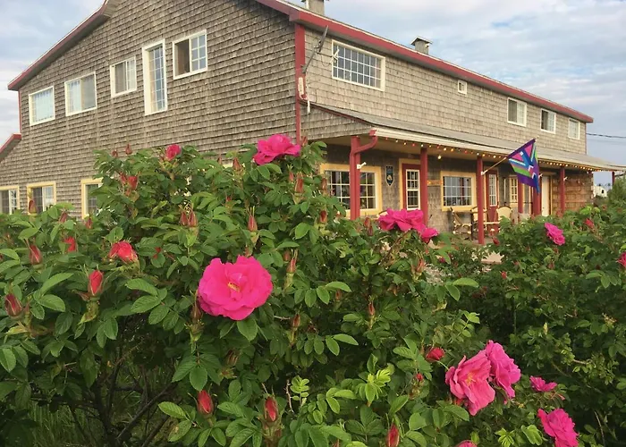 Café Acadien