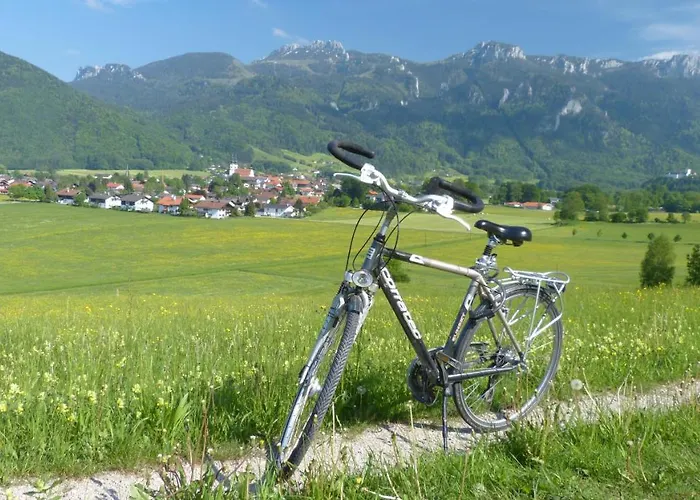 Wirtshaus Zum Baumbach