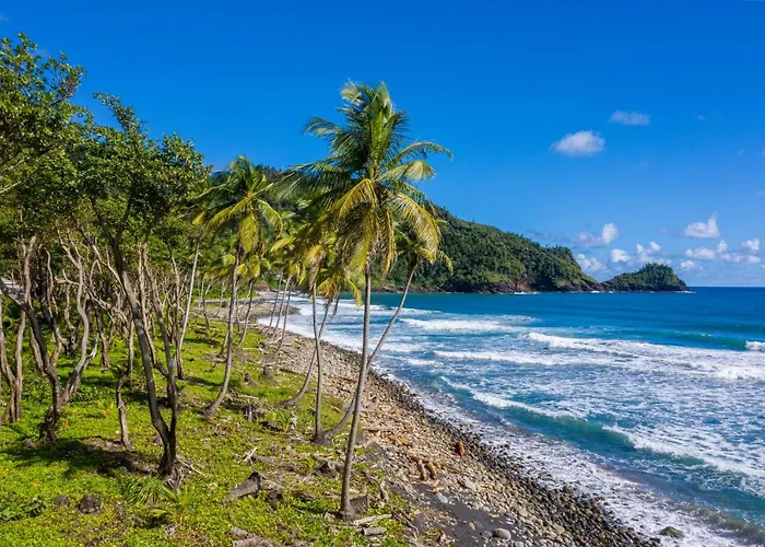 Rosalie Bay Eco Resort&Spa