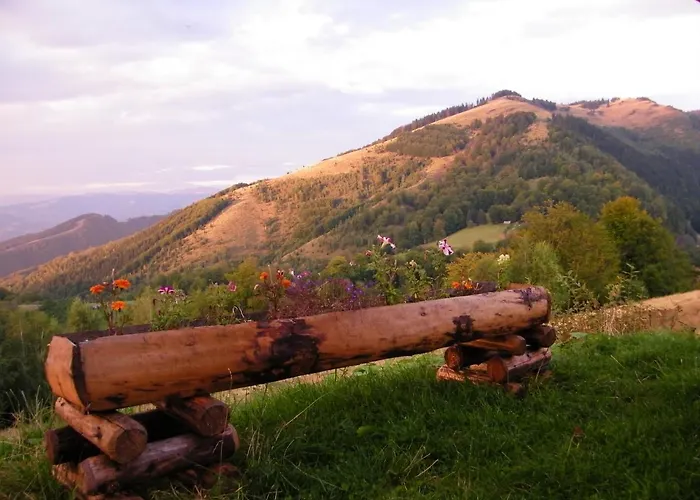 Pensiunea Bujor De Munte
