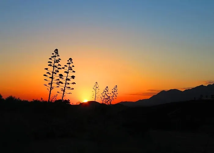 Seven Fountains Farm