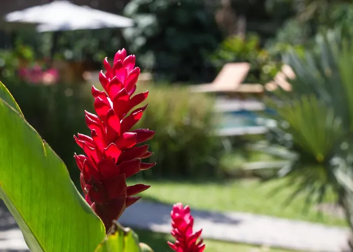 Guacima Escondida Hotel Boutique