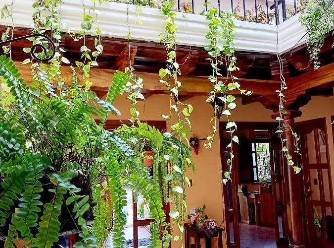 Hotel Casa Sofia