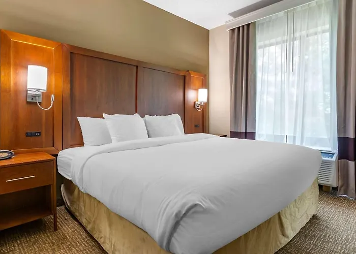 Comfort Suites Clayton - Garner