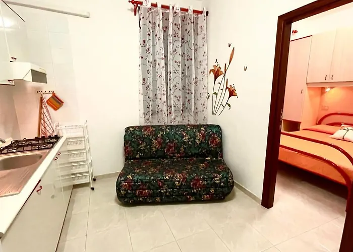 Belvedere Home