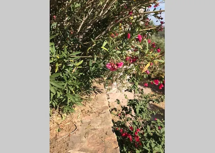 Le Farfalle Appartamento in villa trifamiliare